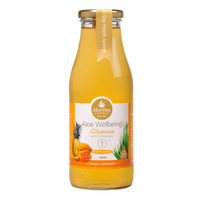 ALO Aloe Wellbeing-Cleanse 500ml