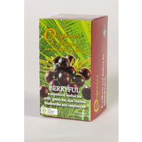 KTO Berryful Tea 20tb