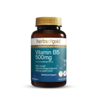 Herbs of Gold - Vitamin B5 500mg 60 Capsules